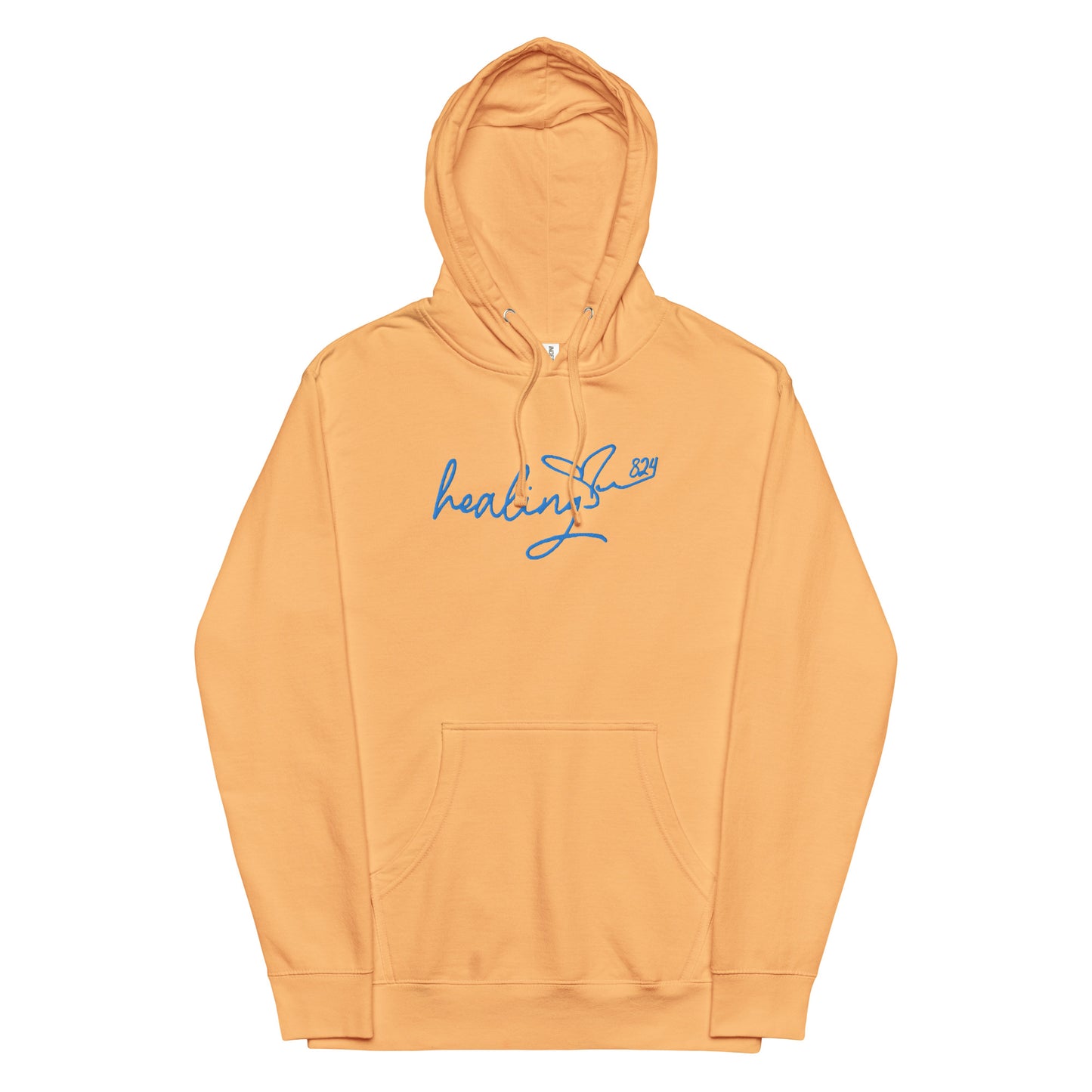 Healing Hoodie (blue)